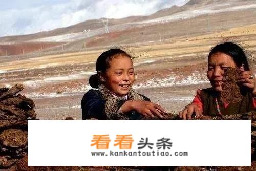  *** 旅游发展历史