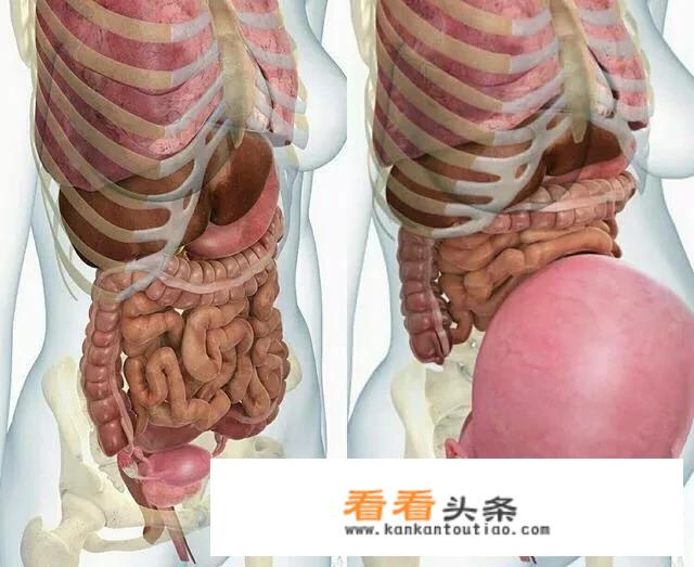 怀孕后妈妈内脏都被挤成什么样子了？