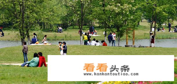 合肥火车站到旅游车站有多远？