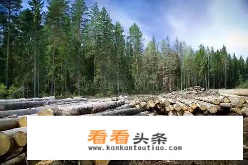 反映贵州地理环境的哪些特点？