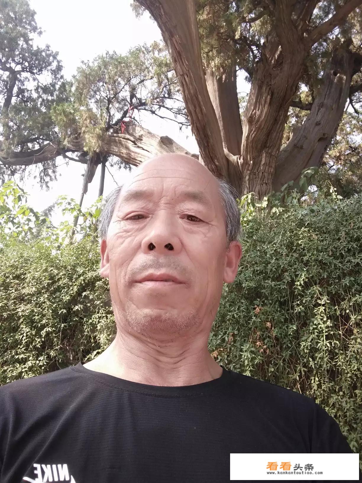 正愁没人教天上掉下个粘豆包出处？