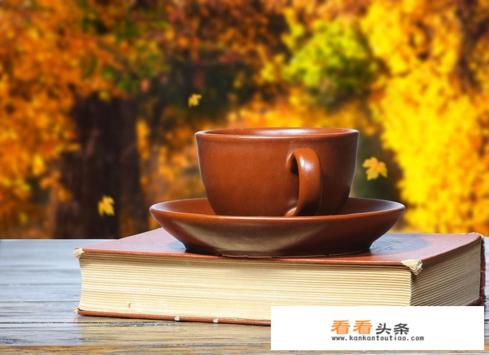 名字带梅的历史、文学名人？