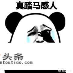 为什么狗狗早上起床粘人？