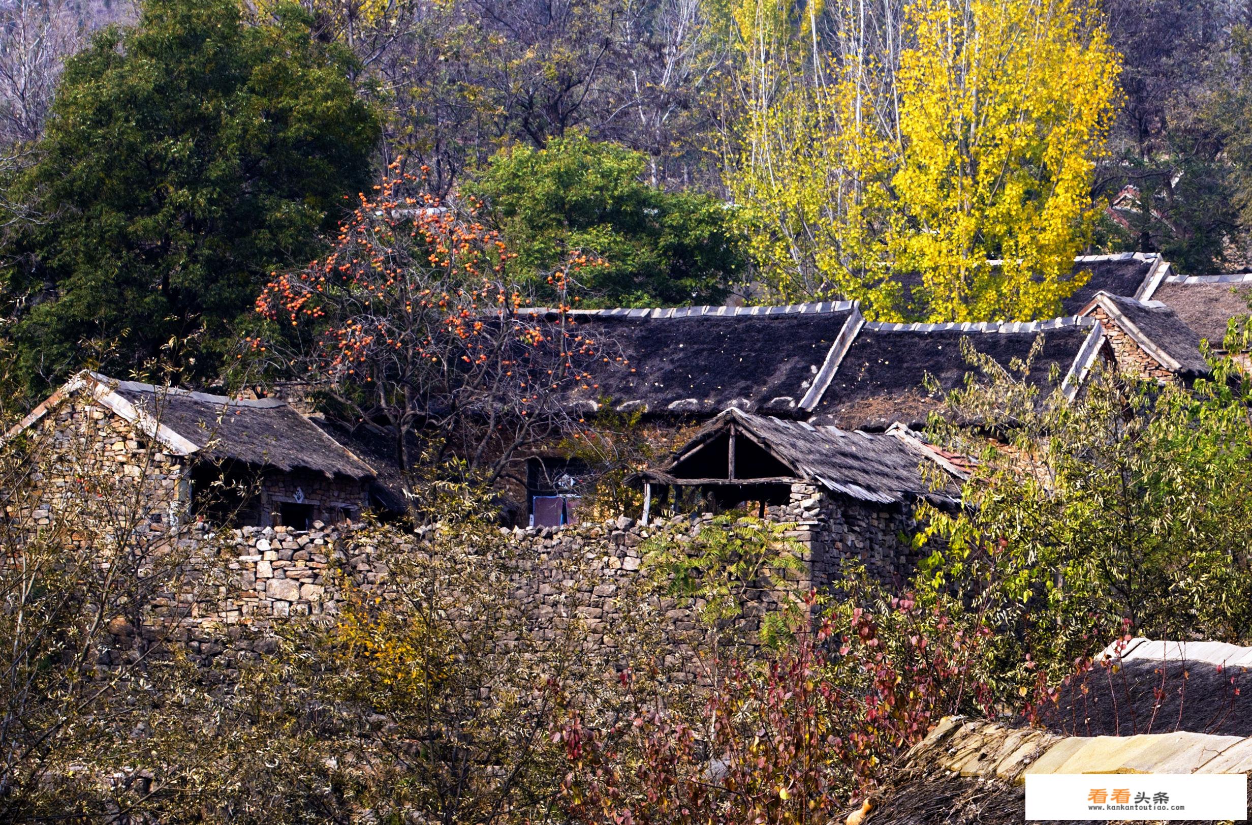 临沂沂南沂蒙影视基地旅游区怎么样，值得一去吗？