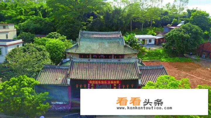 泰美镇哪里有旅游景点？