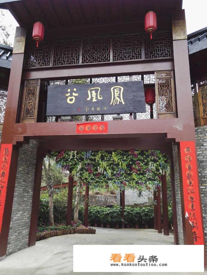 青白江客家杏花村旅游景区怎么走？
