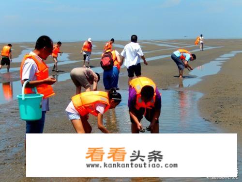 青岛和潍坊旅游哪个好？