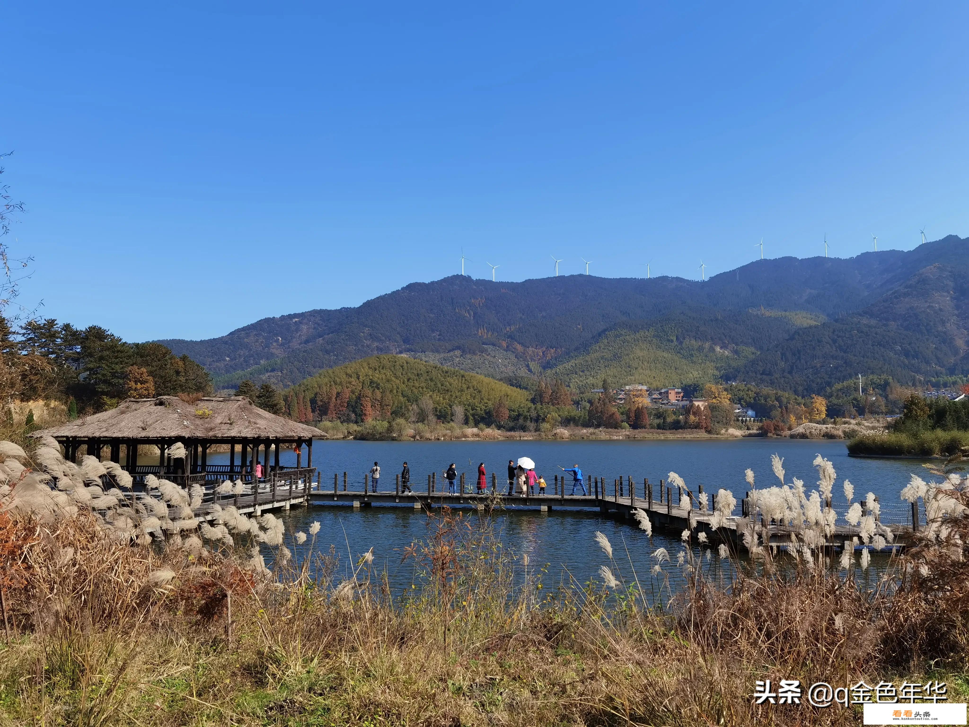 如何理解旅游是一种社会行为？