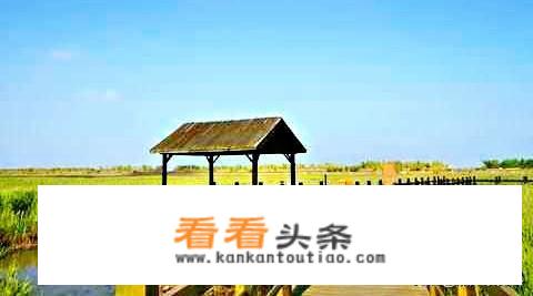 上海有哪些自然景观？