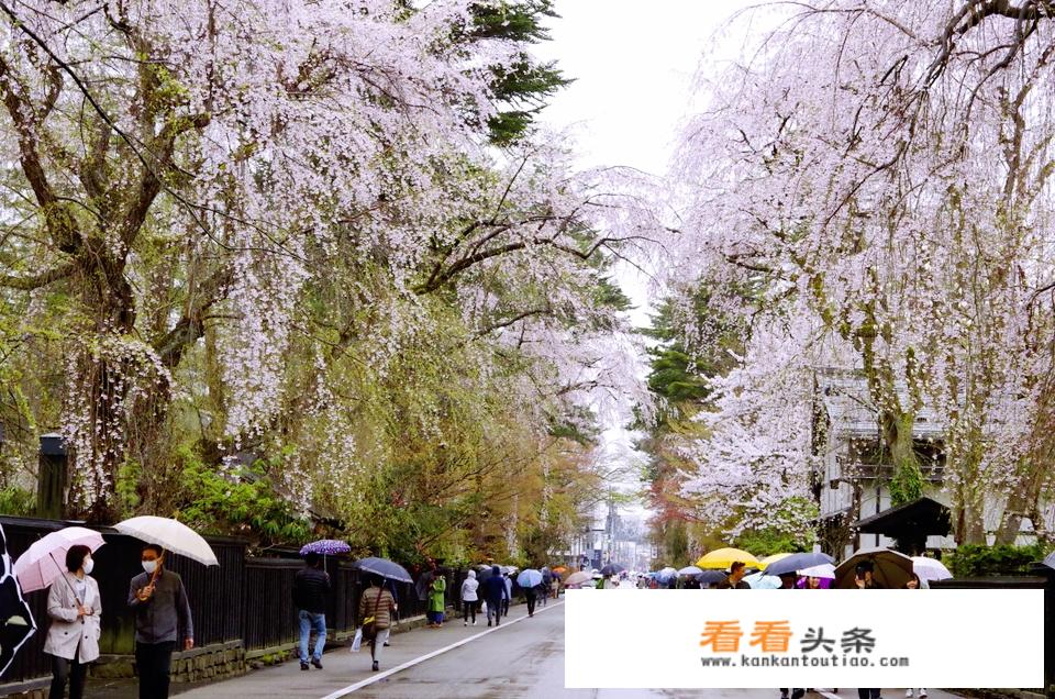 出国上学一年花费需要多少？