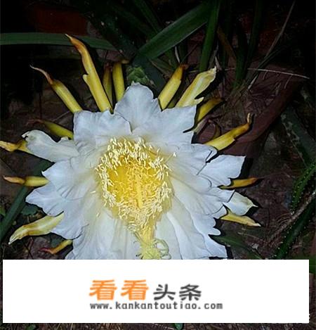 生死狙击2s8山海传说什么时候结束？
