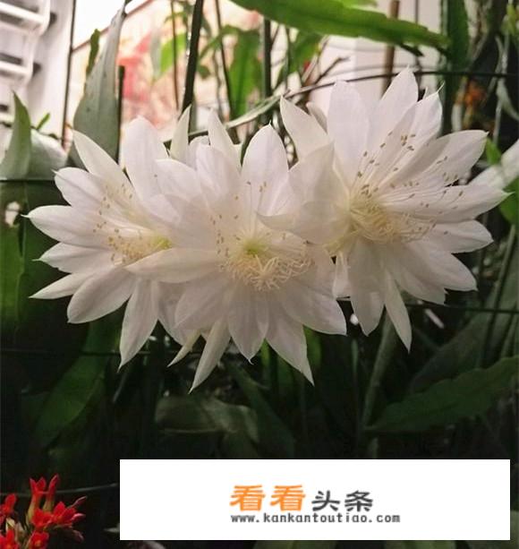 生死狙击2s8山海传说什么时候结束？