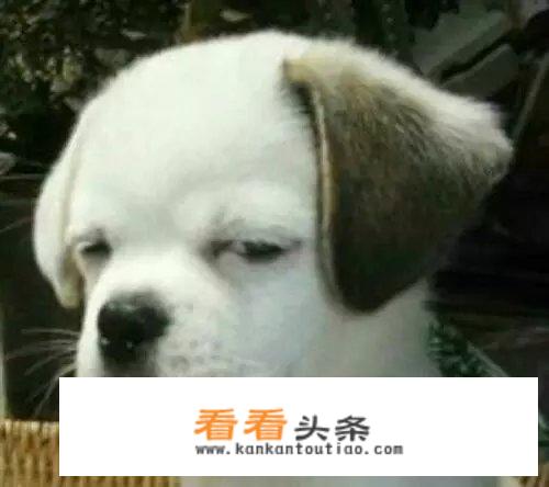 妈妈说考得好要什么给什么？