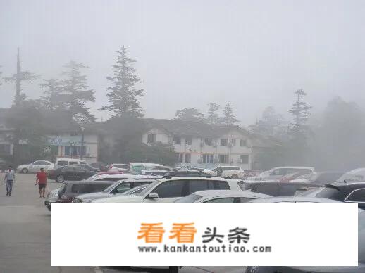 橘子洲头停车方便吗？