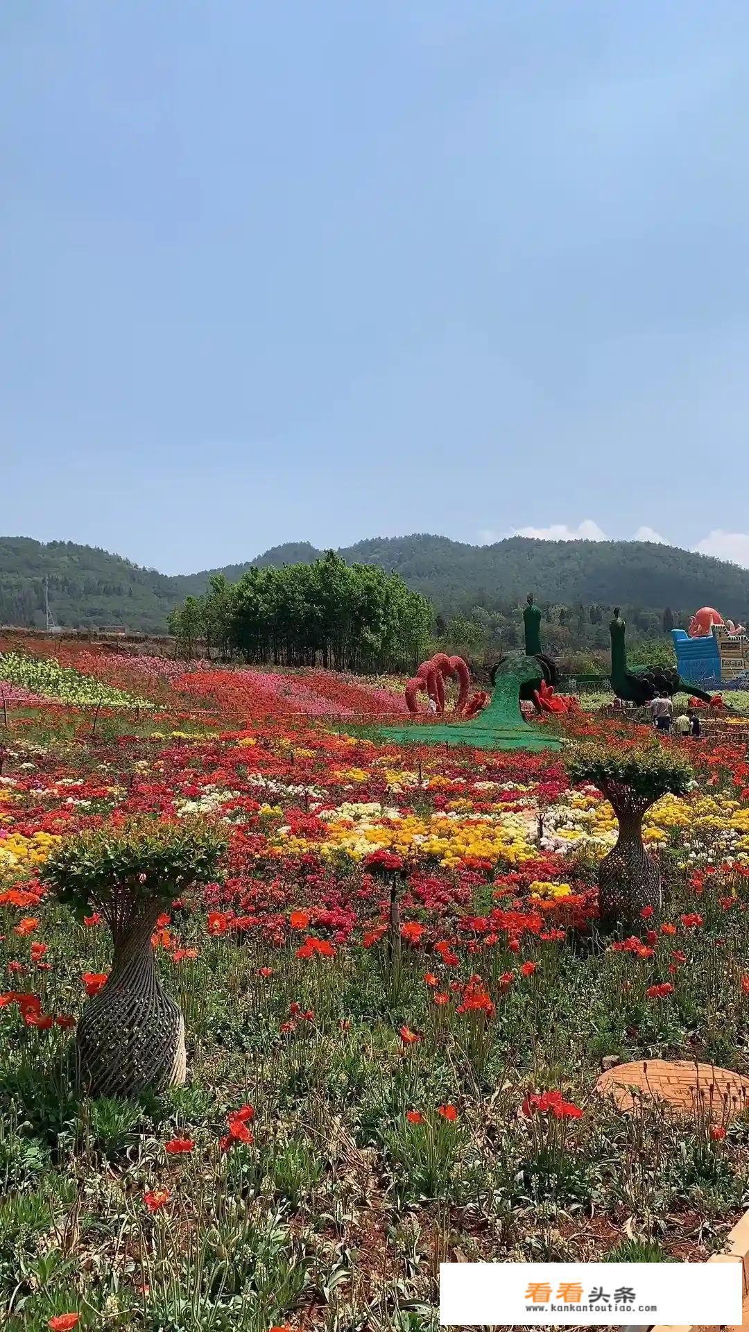 伟光汇通打造的文化旅游项目西河印象，有听说过的吗？