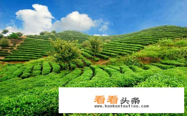 农业旅游是以什么为对象的旅游活动？
