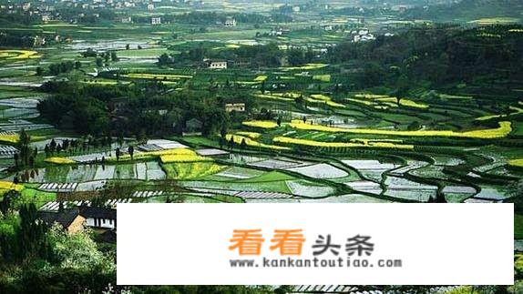 农业旅游是以什么为对象的旅游活动？