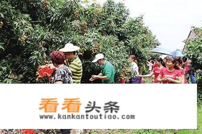 农业旅游是以什么为对象的旅游活动？