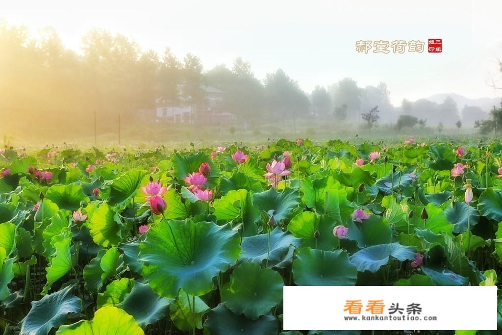 如何吸引城里人去乡村旅游或养老？