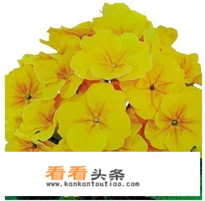 15岁以后孩子可以随父亲迁户口吗？