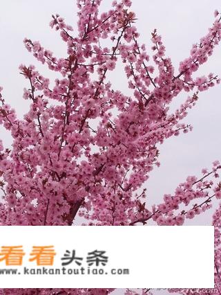 15岁以后孩子可以随父亲迁户口吗？
