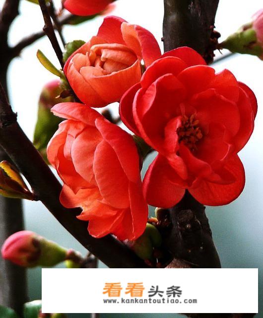 15岁以后孩子可以随父亲迁户口吗？