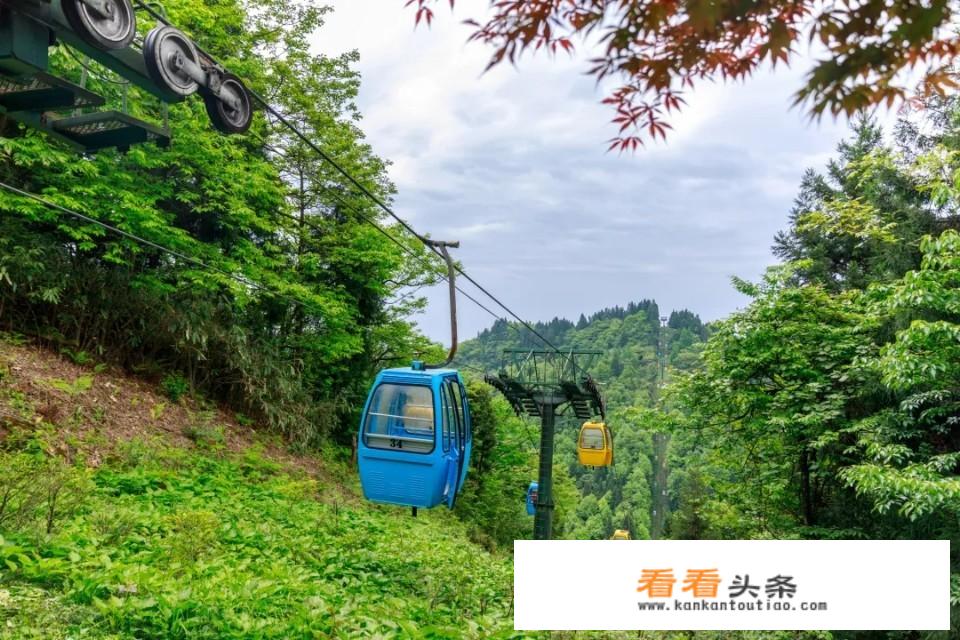 养老旅游商业模式？