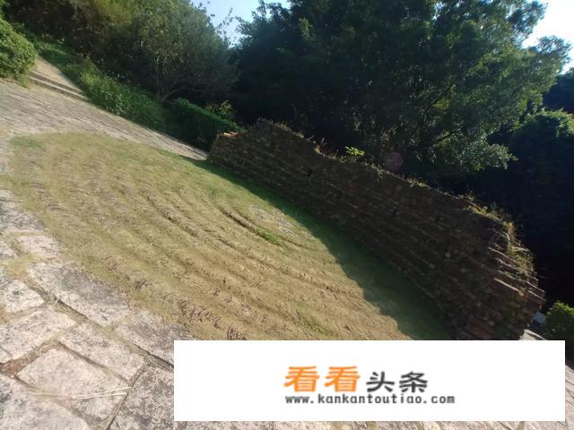 去旅游带什么包包好？