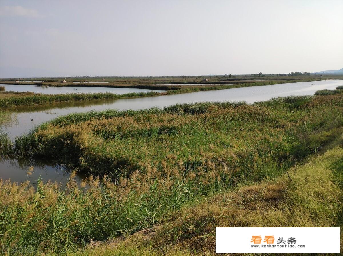 陕西十大高速公路排名？