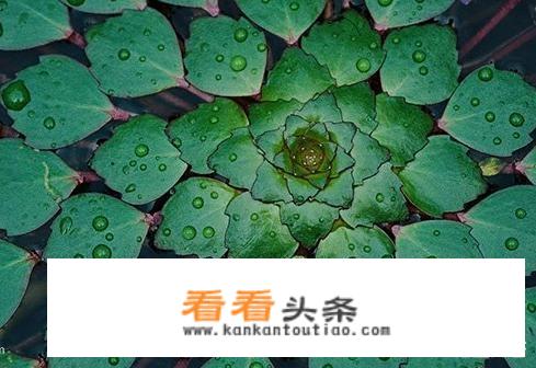 晋城旅游商品介绍？