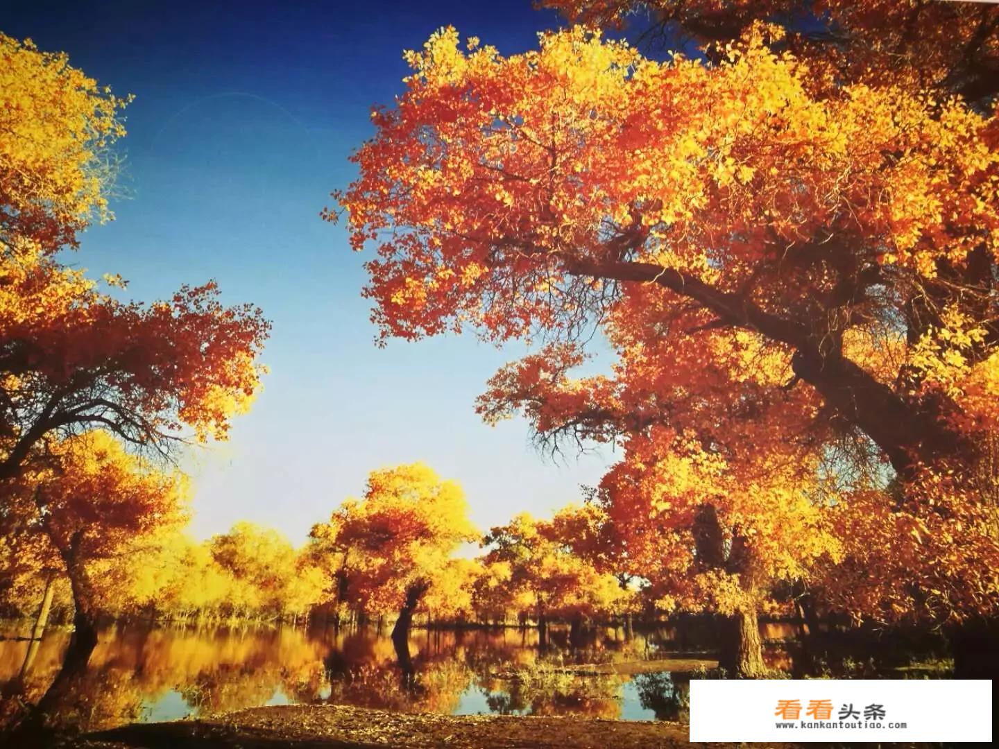 尼尔斯骑鹅旅行记,记中你印象最深刻的内容？