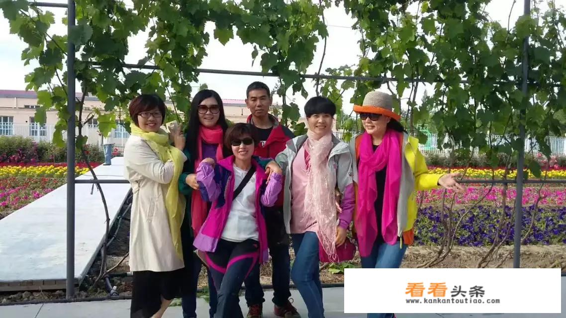 怎么自己去组团旅游？