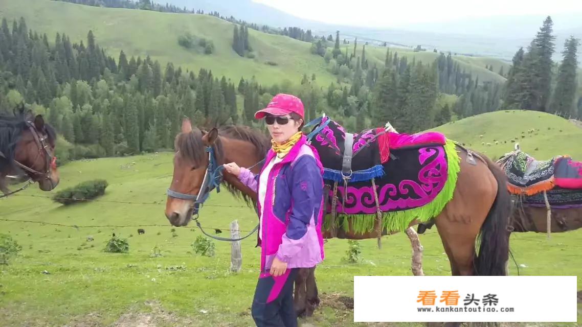 怎么自己去组团旅游？