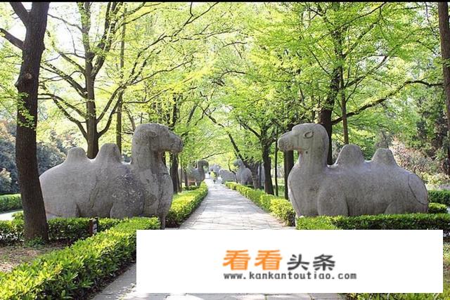 人文旅游资源是怎么分的？