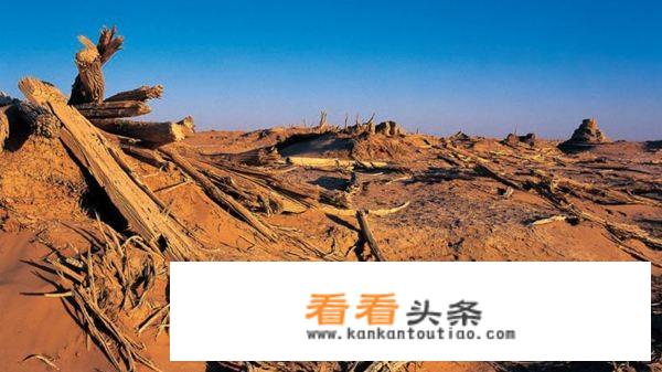如何能够到达楼兰古城遗迹？