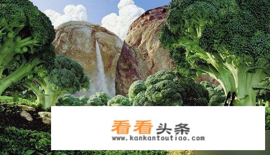 出去旅游订酒店需不需要付钱？