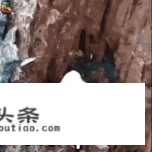 酒店淡旺季一般是几月？
