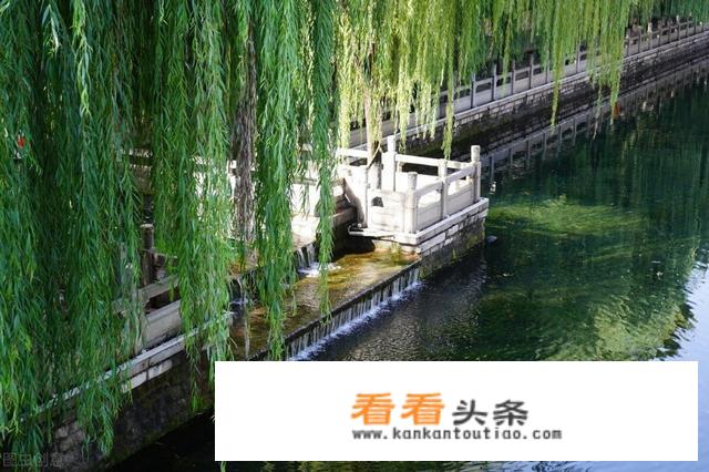 春雨唤醒了哪些万物？