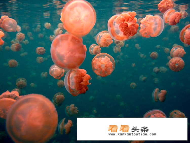 美国的前十大岛屿名称是？