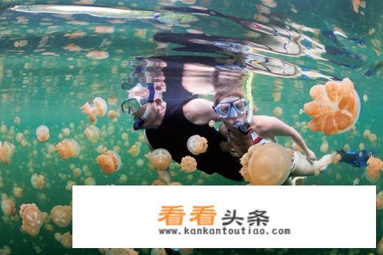美国的前十大岛屿名称是？