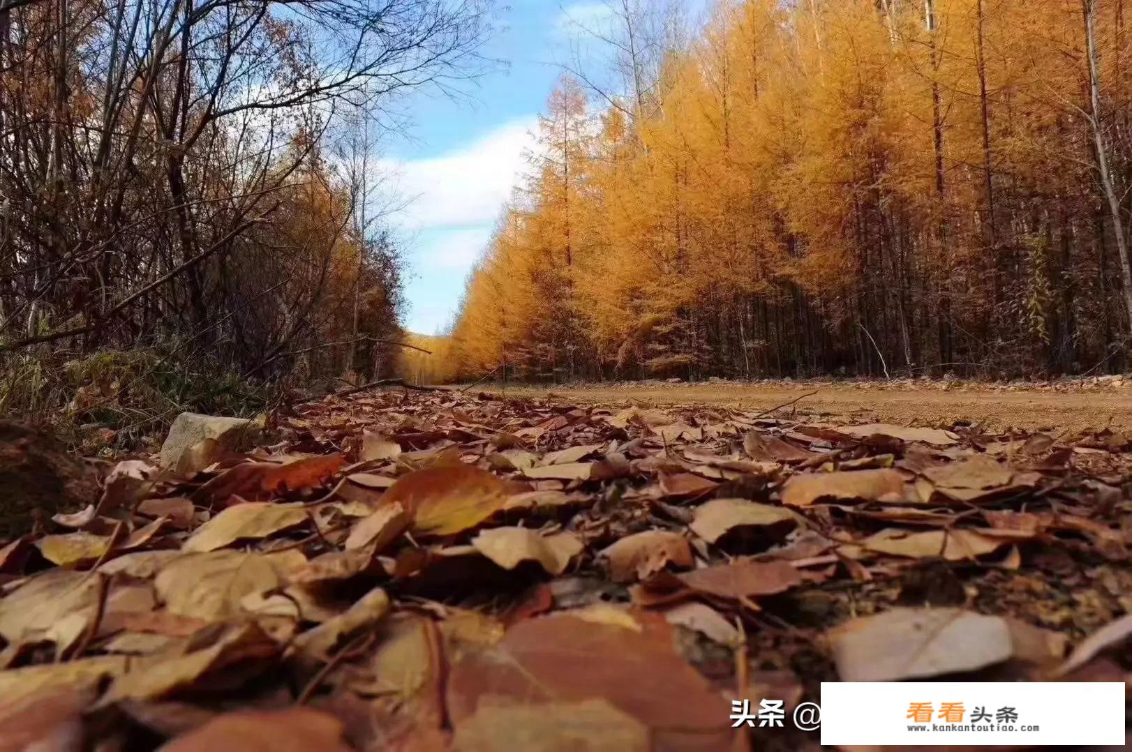 天气热去哪里旅游好？