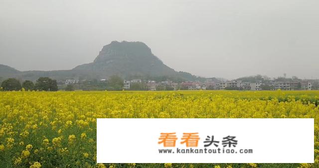 50岁女同志去哪里旅游合适？