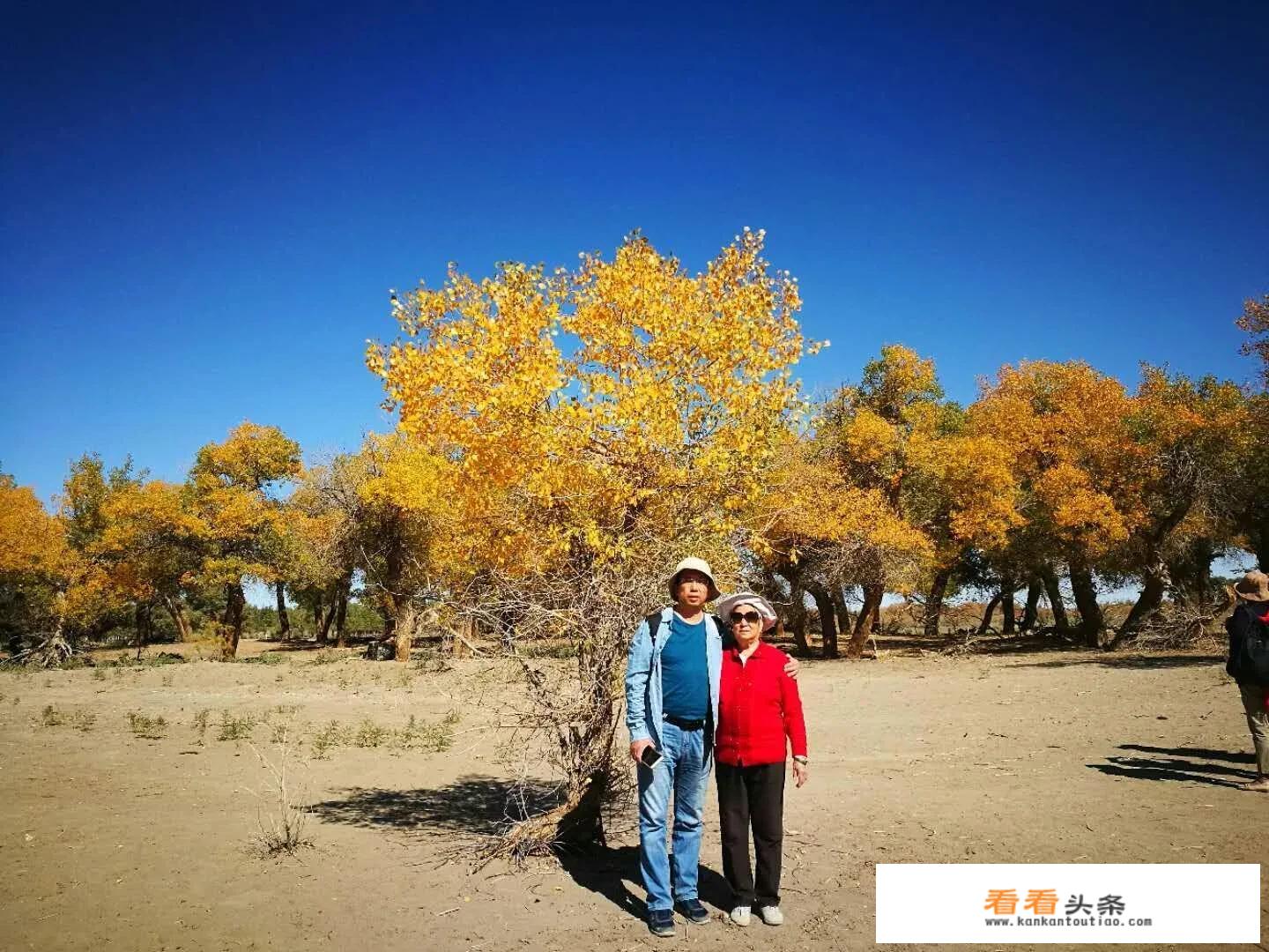 带父母旅游的文案？
