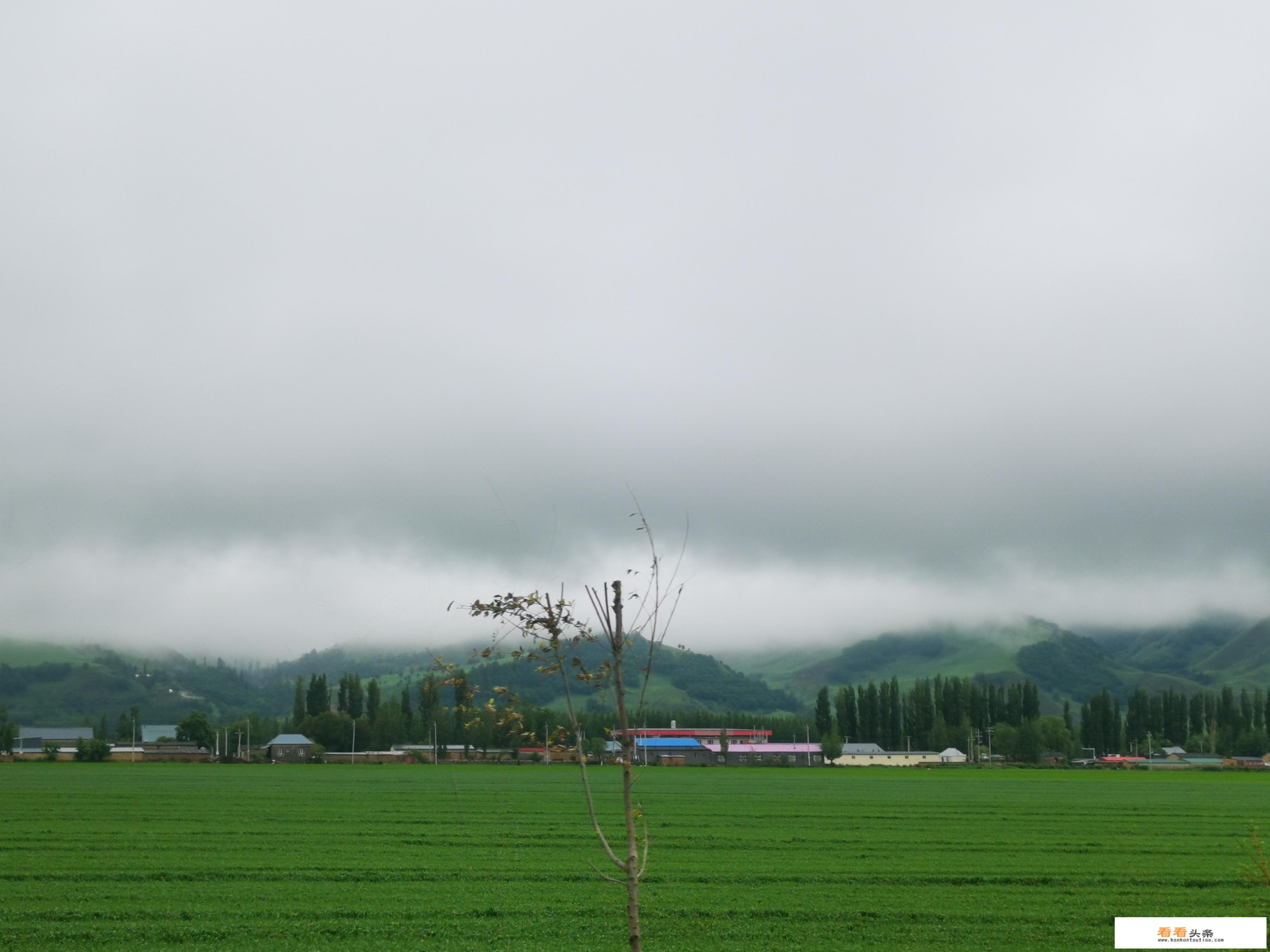 伊犁旅游宣传语？