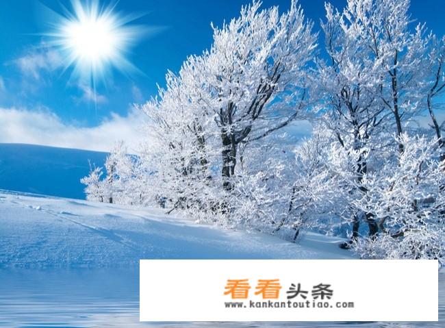 北海道冬天想看雪哪个月份去更好？