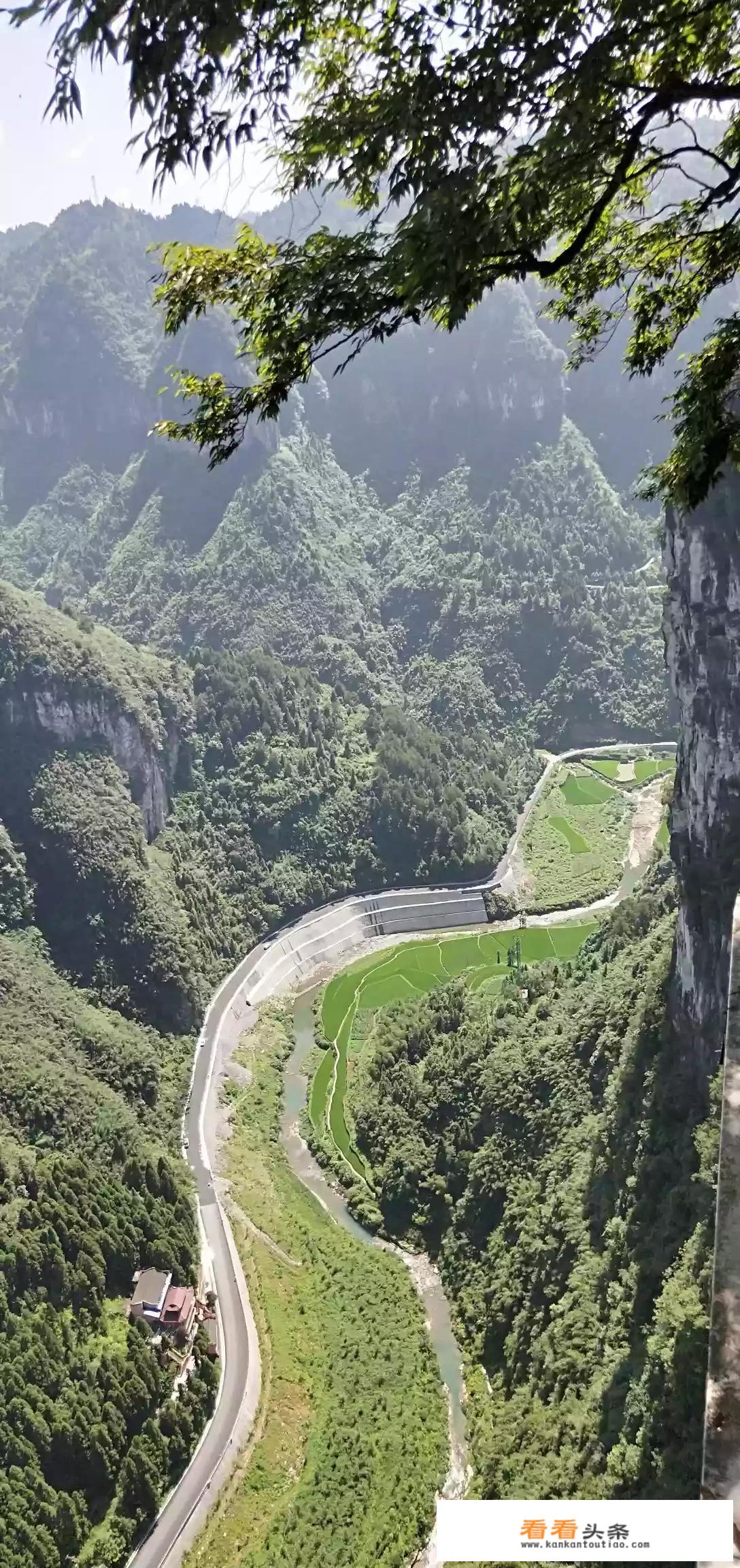 湖北旅游预约不去会怎么样？