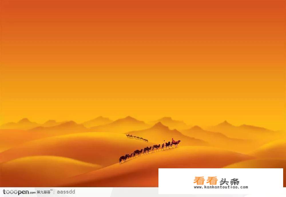沙漠的眼睛读后感？