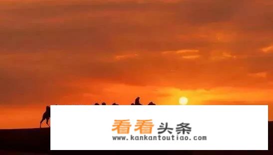 沙漠的眼睛读后感？