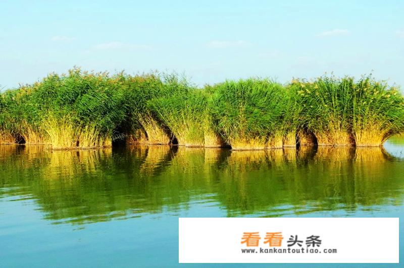去银川旅游穿什么衣服拍照好看？