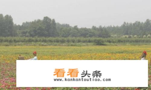溧阳曹山慢城旅游攻略？